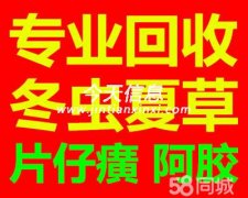 鞍山收冬虫夏草海参燕窝东阿阿胶片仔癀安宫牛黄丸